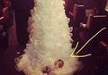 Fotonya Mendadak Viral, Sesosok Bayi Terlihat Terseret Diletakkan Bagian Bawah Gaun Pengantin, Wanita Ini Malah Beri Pernyataan Begini