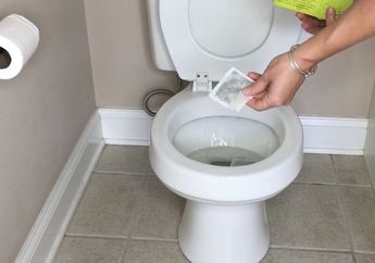 Tukang Ledeng Lagi Mudik Lebaran, Kloset Mampet Bisa Diatasi 30 Menit Hanya Dengan Menyiramkan 1 Cangkir Bahan Dapur Ini, Langsung Plong!