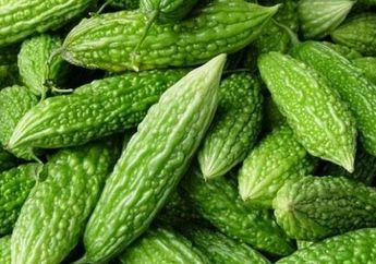 Dihindari karena Rasanya yang Pahit, Siapa Sangka Pare Ampuh Jadi Obat Alami Berbagai Penyakit Mematikan! Dari Diabetes hingga Kolesterol