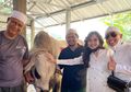 Berukuran Jumbo Berwarna Putih, Sapi Ayu Ting Ting Sempat Ngamuk saat Hendak Disembelih