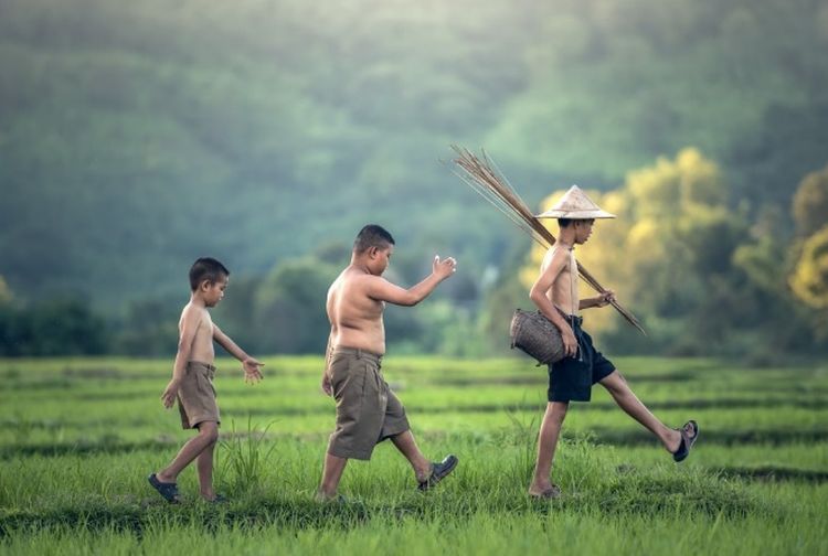 Rangkuman Soal dan  Jawaban Interaksi Makhluk  Hidup  dengan 