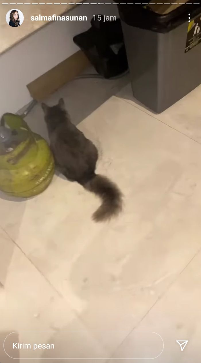 Penampakan gas subsidi dan kucing di vila tempat Salmafina Sunan menginap.