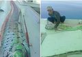Munculnya Ikan Besar yang 'Hampiri' Nelayan Disebut Pertanda Terjadinya Gempa Besar dan Tsunami, Ini Penjelasan BMKG