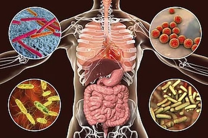 infeksi kuku pada jari tangan