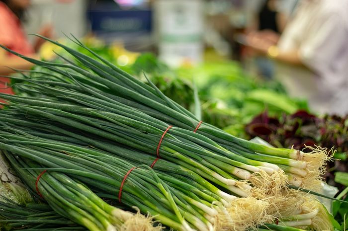 Daun bawang mengandung bakteri baik.