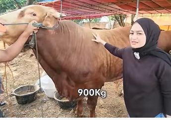 Jadi Mualaf, Nathalie Holscher Beli Hewan Kurban Pertama, Sule Tak Masuk List Pahala Berkurban Justru Ditujukan untuk Sosok Ini