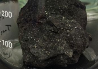 Meteorit Ini Mengandung Pembentuk DNA dan RNA Kehidupan Bumi