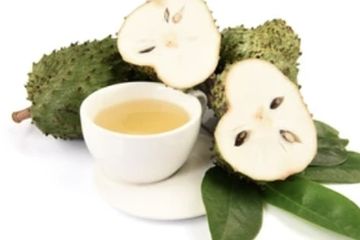 Daun sirsak jadi salah satu obat kanker prostat alami yang baik untuk pencegahan.