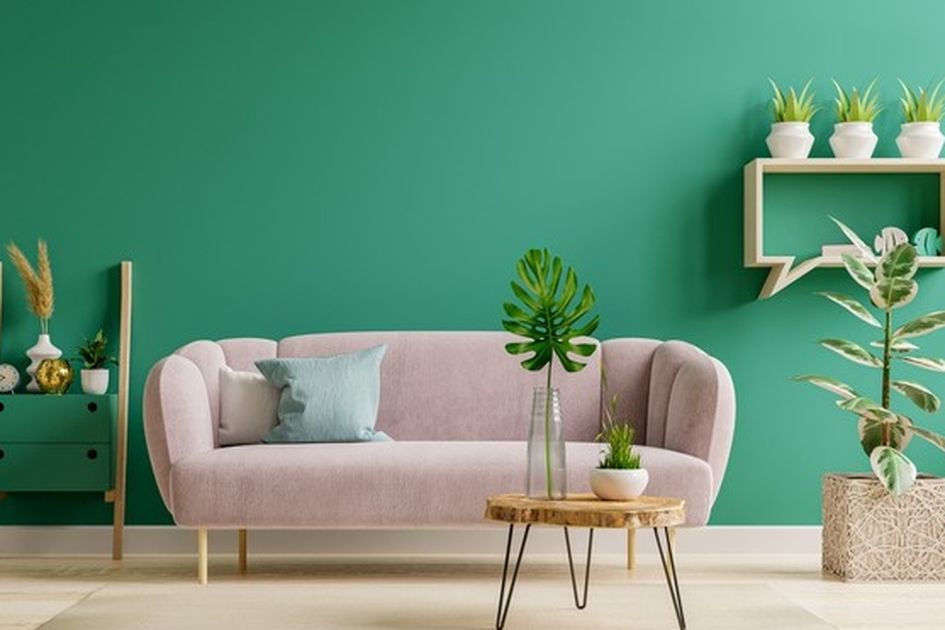 5800 Colecciones palabra clave  Últimos HD