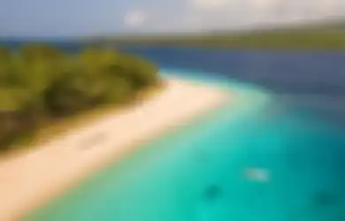 Keindahan Alam Timor Leste di Balik Sejarah Kelamnya, Pulau Ini Digadang-gadang sebagai Surga Tropis Timor Leste