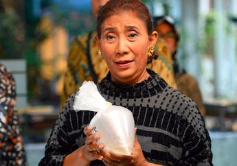 Libur Lebaran, Menteri Susi Pudjiastuti Pilih Lepasliarkan 37.000 Benih Lobster Hasil Selundupan ke Perairan Banyuwangi