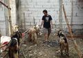 Hafal 1 Juz Al Quran, Pembeli Bisa dapat 'Cashback' Ratusan Ribu Jika Beli Hewan Qurban di Pasar Ini