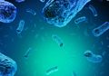 Fakta Seputar Listeria, Penyakit Bawaan Makanan yang Mengancam Keselamatan