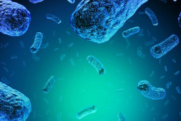 Fakta Seputar Listeria, Penyakit Bawaan Makanan yang Mengancam Keselamatan