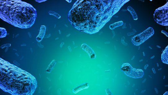 Apa Itu Virus Inilah Pengertian Dan Perbedaannya Dengan Bakteri Semua Halaman Kids