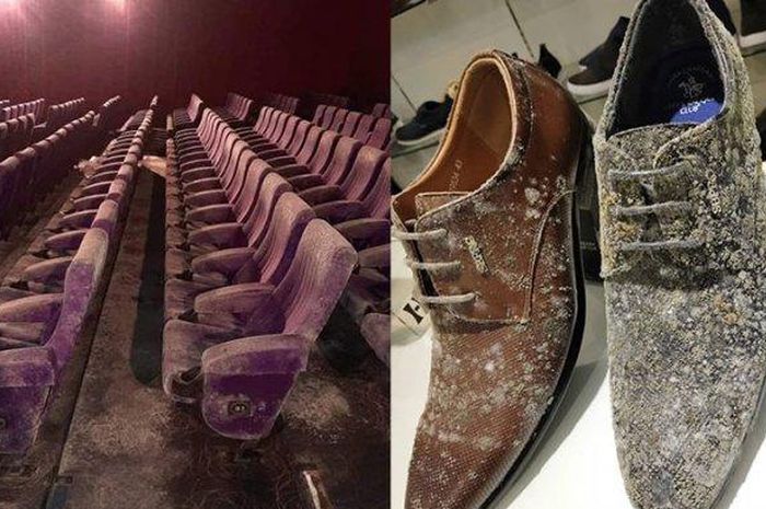 Dua Bulan Lockdown Sepatu  hingga Kursi  Bioskop Mulai 