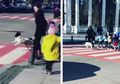 Anjing Liar Ini Jadi Viral karena Selalu Bantu Anak-anak Menyebrang Jalan