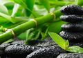 Manfaat Bambu untuk Kecantikan, Ampuh Sebagai Sunscreen Alami!