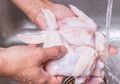 Cuci Ayam Mentah dengan Air Diklaim Berbahaya, Lalu Seperti Apa Cara Terbaik Mengolah Daging Ayam?
