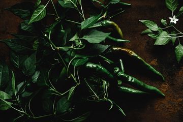 Mengolah daun cabai jadi air rebusan daun cabai
