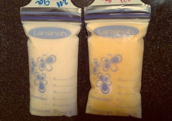 Jauh-jauh Dibawa untuk Anaknya, Ibu Ini Harus Pasrah ASI Bekunya Malah Dibuang Petugas Bea Cukai, Siapa Sangka Ternyata Ada Sindikat Pasar Gelap yang Sedang Jadi Buruan Ini di Baliknya