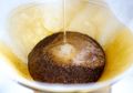 Jarang Diketahui, Ternyata Ampas Kopi Punya Beragam Manfaat Loh! Dari Manfaatnya untuk Kecantikan hingga Hewan Peliharaan