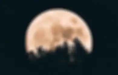 Ancang-ancang Bila Kiamat Terjadi, Ilmuwan Punya Rencana Gila Kirimkan 6,7 Juta Sampel Sperma ke Bulan, Memang Apa Hubungan Kiamat dengan Sperma di Bulan?