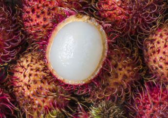 Kekuatan Air Rebusan Biji Rambutan! Cukup Teguk 2 Gelas Sehari Dijamin Diabetes Kambuh Teratasi