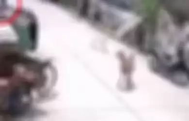 Aksi pencurian kambing oleh pengendara motor sport terekam video CCTV