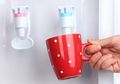 Dispenser Air Minum Adalah Sarang Hewan Menjijikan Ini Bersama Kuman yang Dapat Sebabkan Berbagai Penyakit