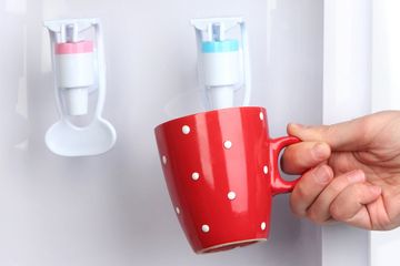 Ternyata dispenser air bisa jadi sarang kuman, bakteri, hingga kecoak.
