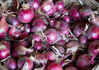 Cuma Makan Bawang Merah Panggang yang Dicampur Madu, Tubuh Langsung Enak Karena Penyakit Ini Hilang Seketika