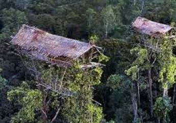 Pantas Saja Tidak Tahu Ada Manusia Lain Hidup di Bumi, Begini Kehidupan Suku Korowai di Indonesia yang Hidup 'Bertengger' di Atas Pohon Tinggi