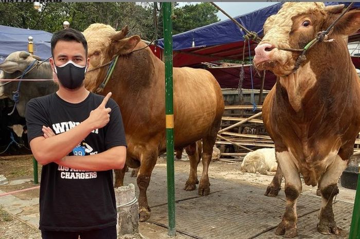 Kurbankan 20 Sapi dan 20 Kambing, Ini Arti Kurban Bagi Raffi Ahmad
