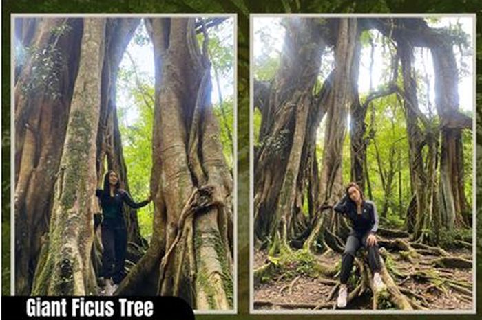 Spot Foto Kebun Raya Bali Paling Instagramable