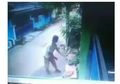 Viral Video Kucing Dipukuli Sampai Mati di Bekasi, Animal Defender Laporkan ke Polisi