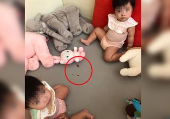 Curiga Putri Kembarnya Tak Bersuara, Seorang Ibu Histeris melihat Anaknya Makan Kecoak Bak Mengunyah Makanan Ringan, Pakar Sebut Rasanya Memang Mirip Keripik Kentang