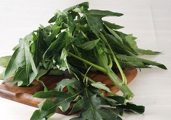 Langsung Ludes Karena Bebas Rasa Pahit, Coba Rebus Daun Pepaya dengan Tambahan Sebutir Bumbu Dapur Ini, Bakal Bikin Nagih Hasilnya!