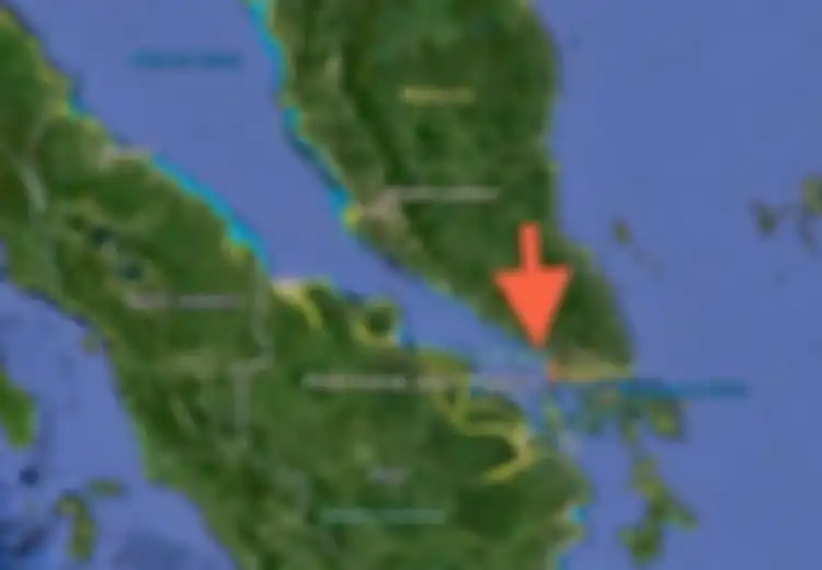 Komoditas Apa yang Menarik Bagi Kaum Pedagang untuk Mendatangi Pelabuhan yang Ada di Kepulauan Indonesia? Ini Penjelasannya