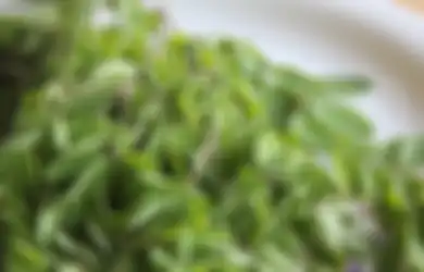 Para Ibu yang Baru Melahirkan Wajib Tahu! Air Rebusan Daun Kelor Punya Banyak Manfaat, Coba Rutin Minum Segelas Tiap Hari