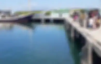 Tanpa Basa-basi, Pria Ini Langsung Dorong Mobilnya ke Laut Setibanya di Pelabuhan, Bukan Stres, Tapi Inilah Pemicunya