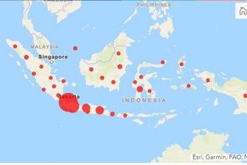 Peta penyebaran virus corona covid-19 di Indonesia per Selasa (31/3/2020) sore. 