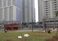 Rumah Sakit Darurat Covid-19 Wisma Atlet Kemayoran Tower 6 Mundur Dioperasikan dari Jadwal yang Ditetapkan, Ini Penjelasannya!