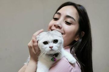 Hari Kucing Sedunia, Nagita Slavina pecinta kucing.
