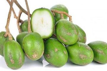 Manfaat buah kedondong bagi kesehatan dan kecantikan cukup beragam.