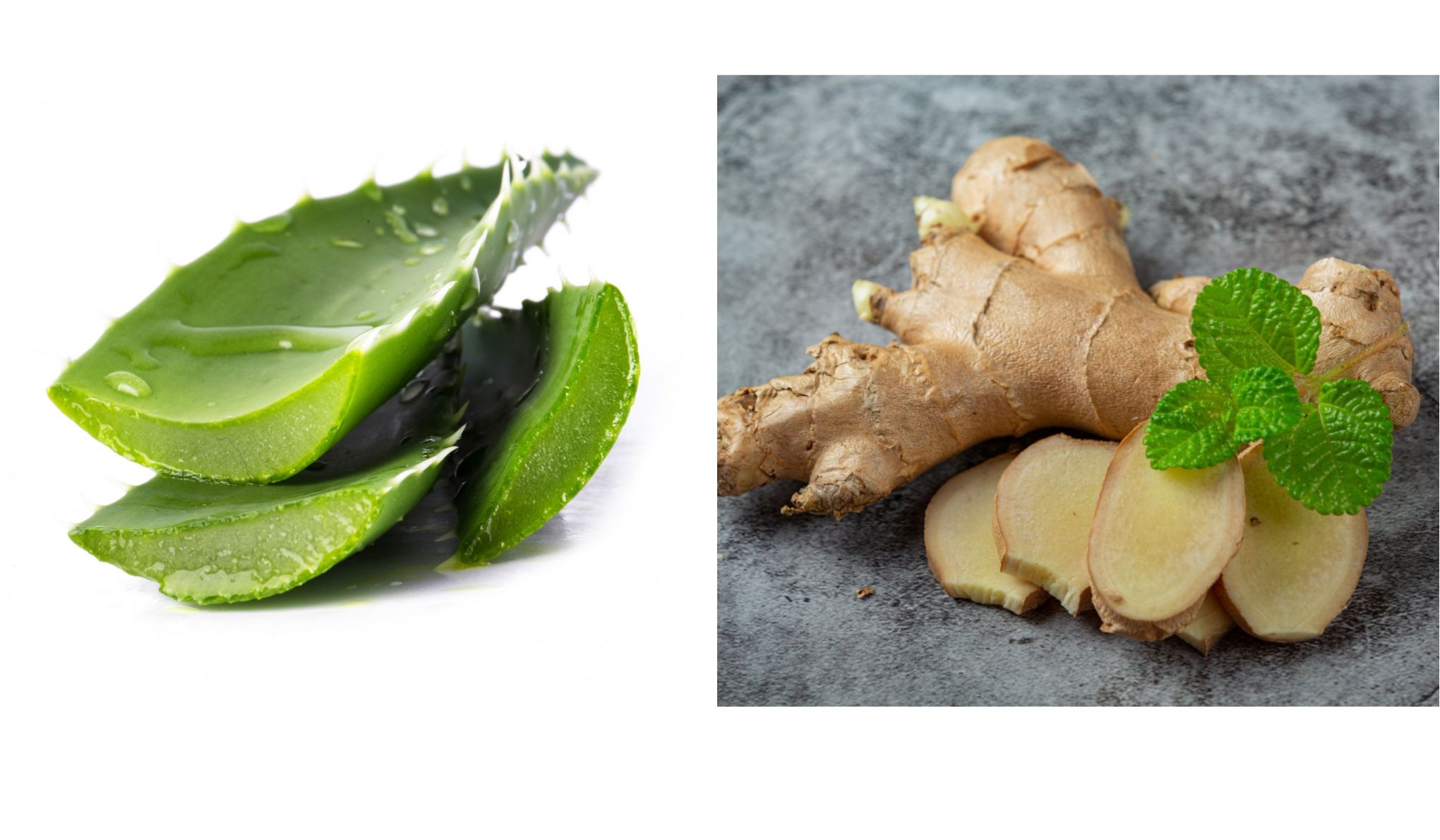 Para Pemilik Penyakit Diabetes Kalau Mau Sembuh Coba Makan Lidah Buaya dan Jahe, Seminggu Kemudian Jangan Heran Kalau Obat Dokter Jarang Diminum Sampai Numpuk - Semua Halaman - Nakita