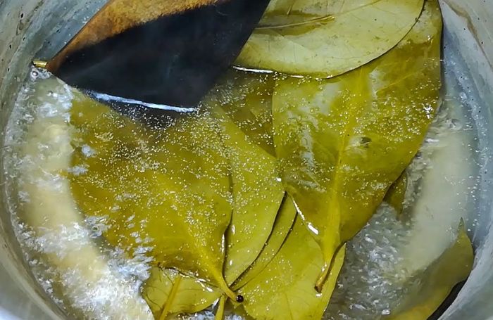cara mengatasi asam urat dengan air rebusan daun ini