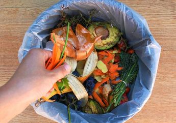 Bila Anda Pusing dengan Urusan Sampah di Dapur, Ini Trik Mudah Usir Bau Sampah di Dapur yang Mengganggu!