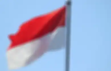 Apa yang Menjadi Visi dan Cita-cita NKRI? Simak Berikut Ini