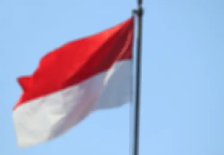 Apa yang Menjadi Visi dan Cita-cita NKRI? Simak Berikut Ini